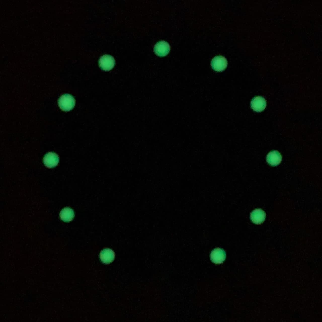 Dial 819 VOSTOK AMPHIBIA - 2