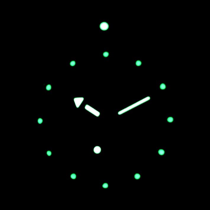 VOSTOK AMPHIBIA (150348 S4) - 3