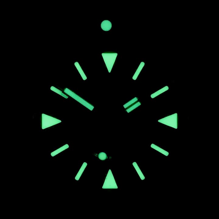 VOSTOK AMPHIBIA (120512.4 SE3) - 4