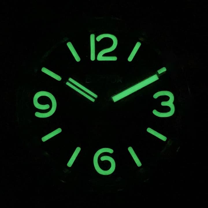 VOSTOK AMPHIBIA PAMPHIBIA (170548 S3) - 3