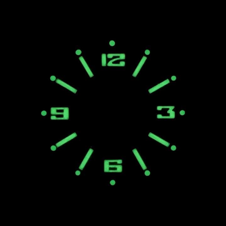 Dial 848 L VOSTOK AMPHIBIA - 2