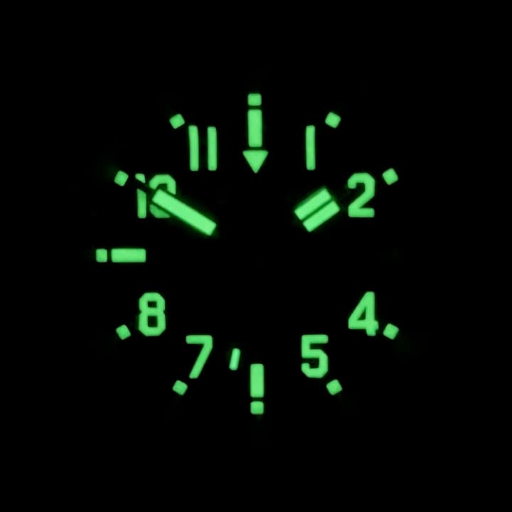 VOSTOK AMPHIBIA (72013B) - 3