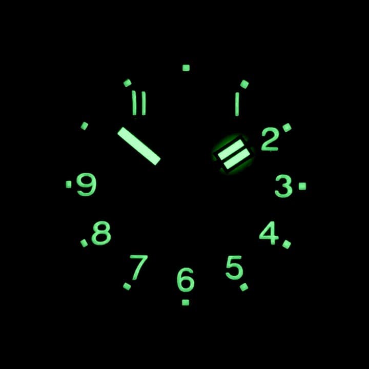 VOSTOK AMPHIBIA (72095A) - 3