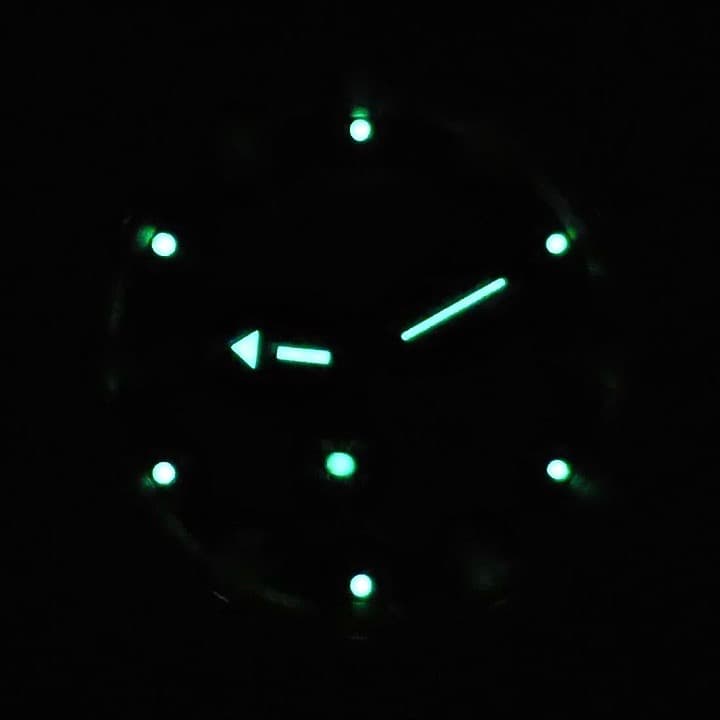 VOSTOK AMPHIBIA (710406) - 3