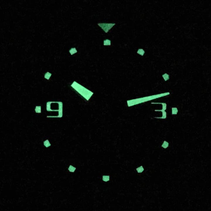 VOSTOK AMFIBIA SCUBA (070798) - 3