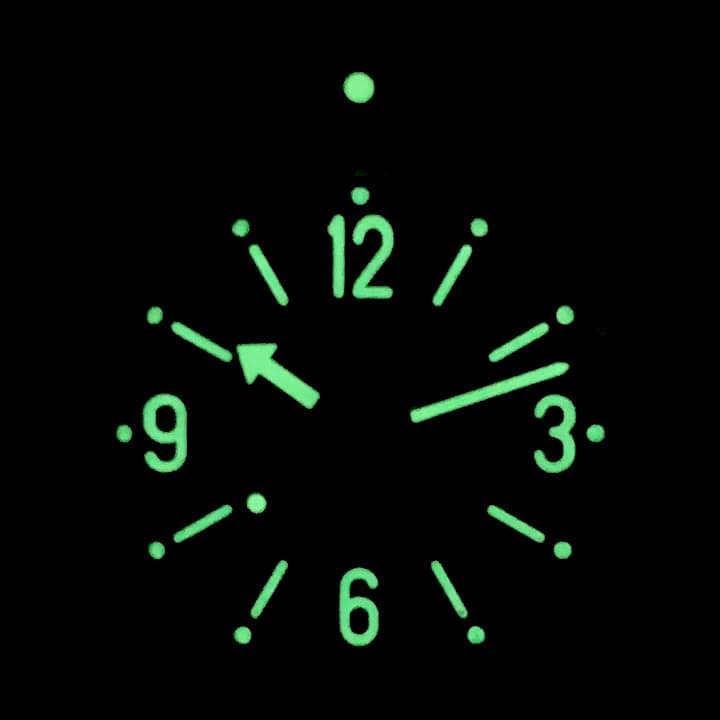 VOSTOK AMPHIBIA (900972) - 3