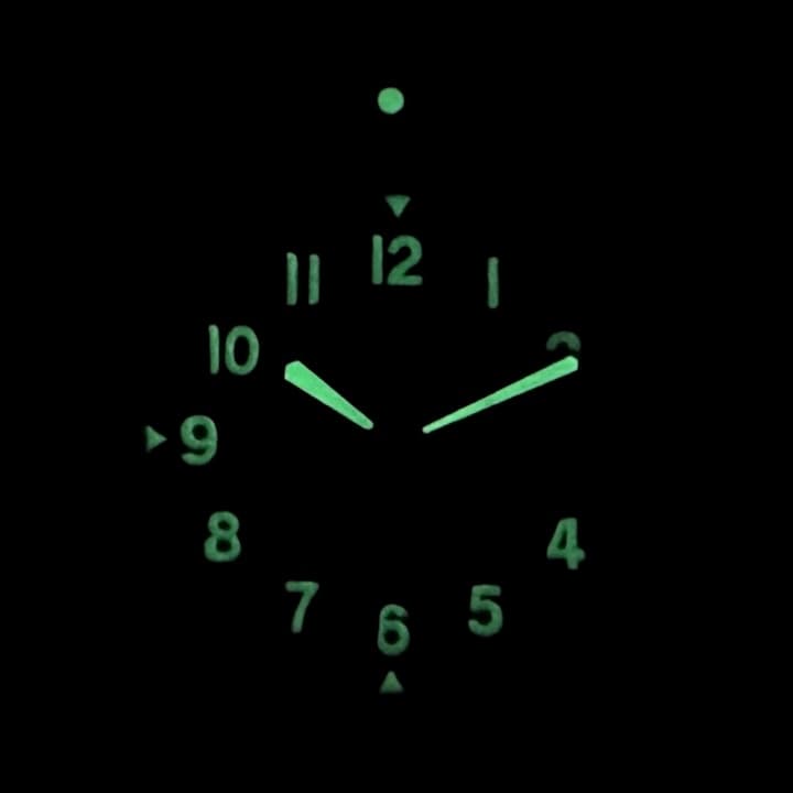 VOSTOK AMPHIBIA (20001B) - 3