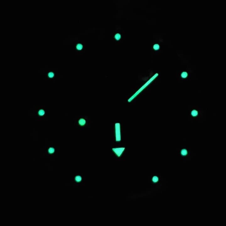 VOSTOK AMPHIBIA (120813) - 2