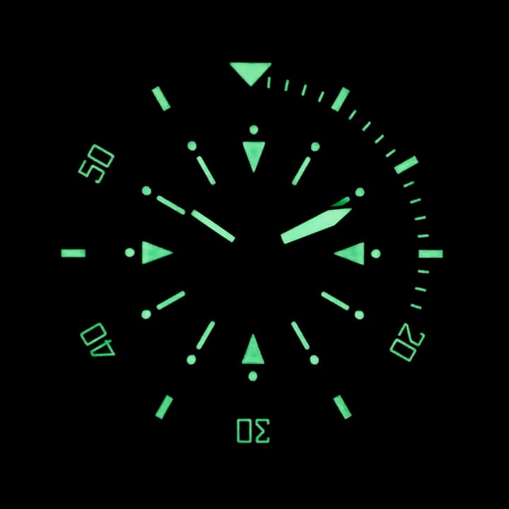 VOSTOK AMPHIBIA (120512.2 SE2) - 3