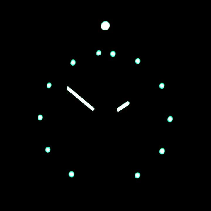 VOSTOK KOMANDIRSKIE BORDER TROOPS (431950 S2) - 3