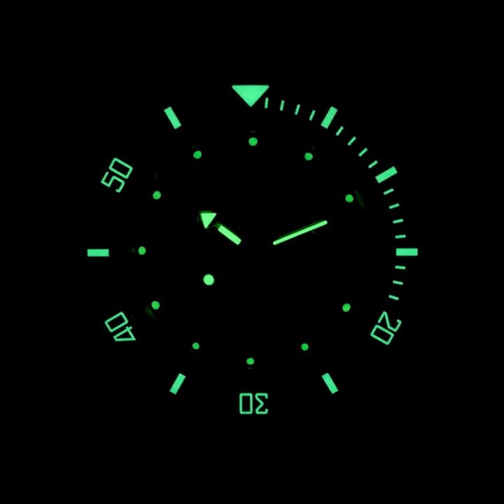 VOSTOK AMPHIBIA (100315 S1) - 3