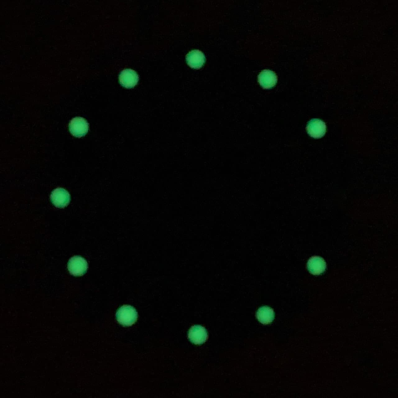 Dial 315 VOSTOK AMPHIBIA - 2