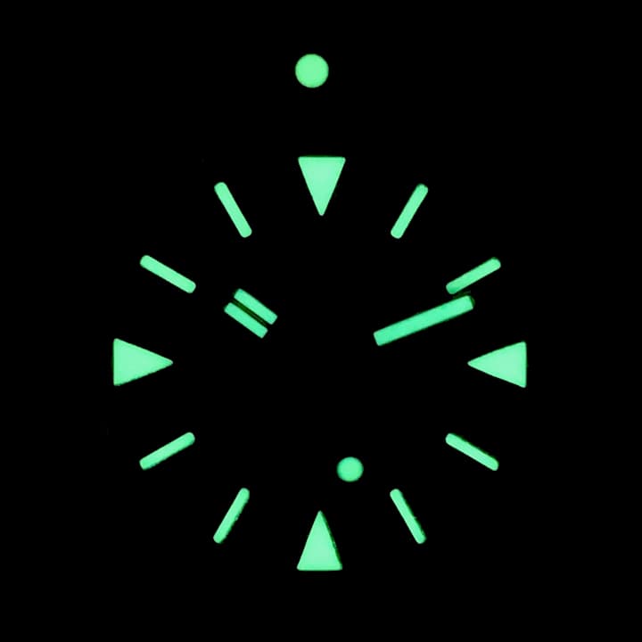 VOSTOK AMPHIBIA (170512.4 SE2) - 3