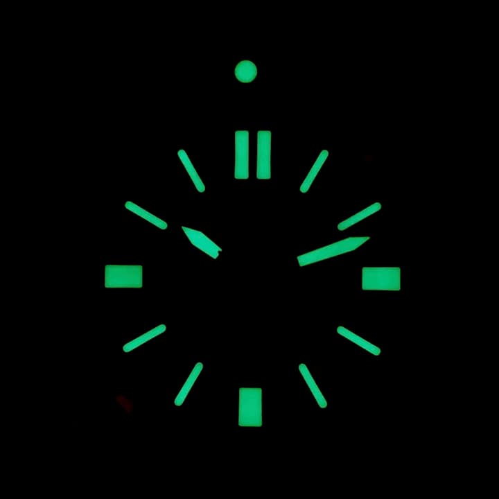 VOSTOK AMPHIBIA (170916.1 SE1) - 3