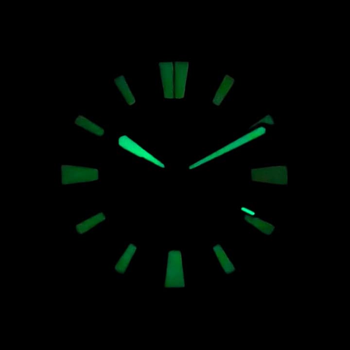 VOSTOK AMPHIBIA (17047V) - 2