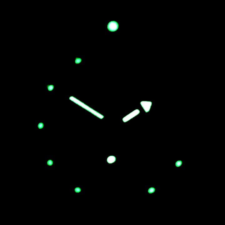 VOSTOK AMPHIBIA (100474 S1) - 3