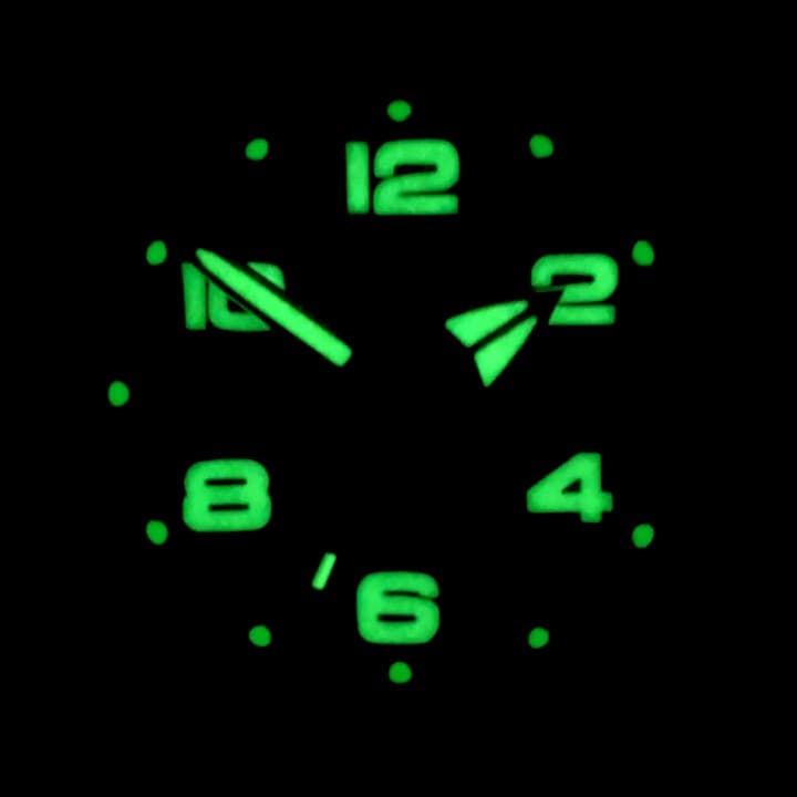 VOSTOK AMPHIBIA (650432 SE1) - 3