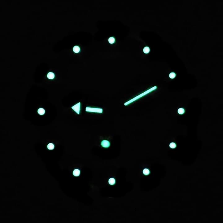 VOSTOK AMPHIBIA (110903) - 2