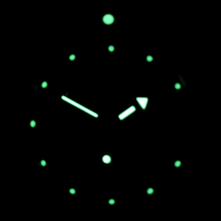 VOSTOK AMPHIBIA GRU (420867 S1) - 3