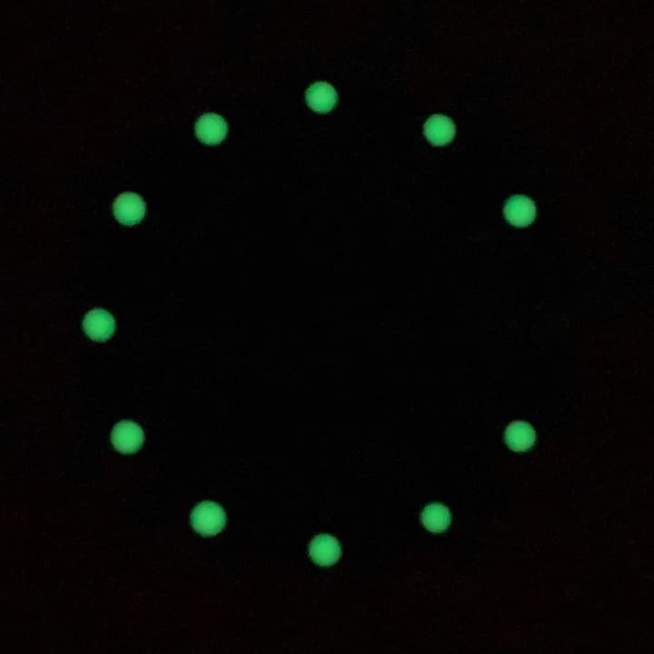 Dial 485 VOSTOK AMPHIBIA - 2