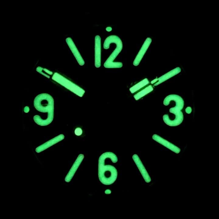 VOSTOK AMPHIBIA (090913 S1) - 3