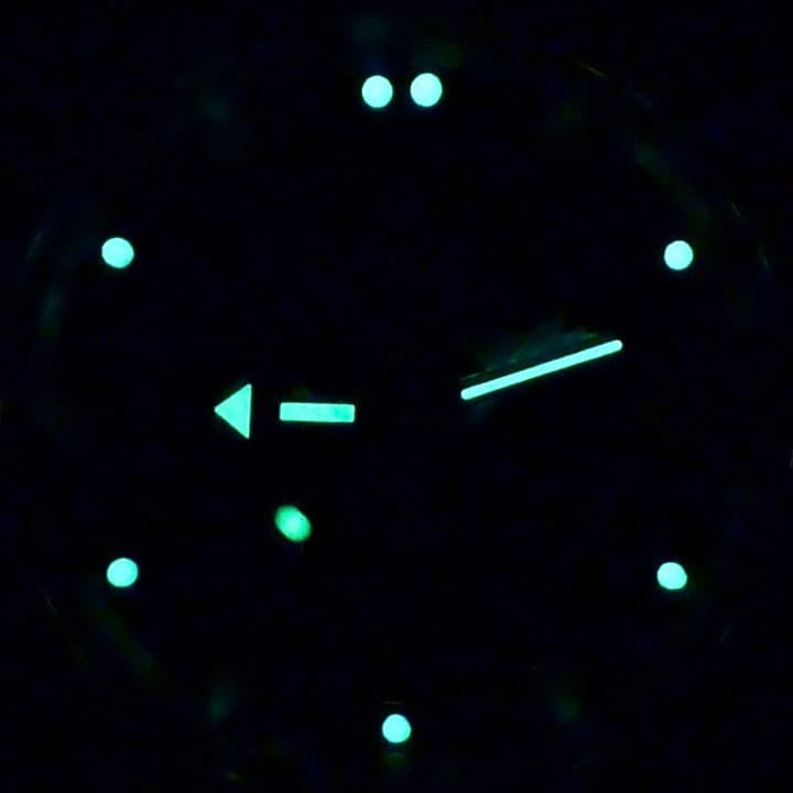 VOSTOK AMPHIBIA (110908) - 2