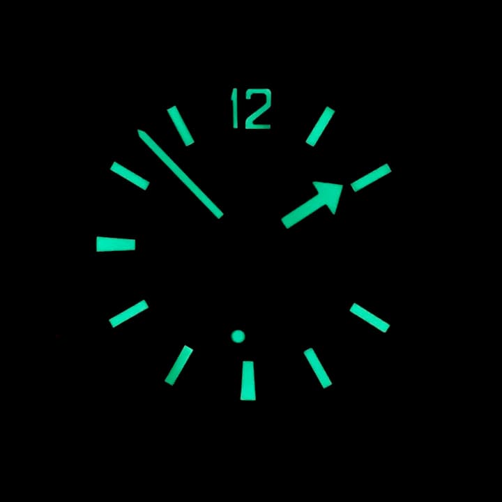 VOSTOK AMPHIBIA (740019) - 3