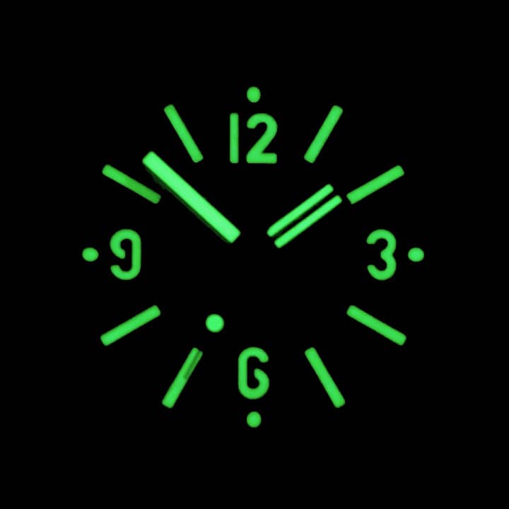 VOSTOK AMPHIBIA 1967 (090660 G SE1) - 3