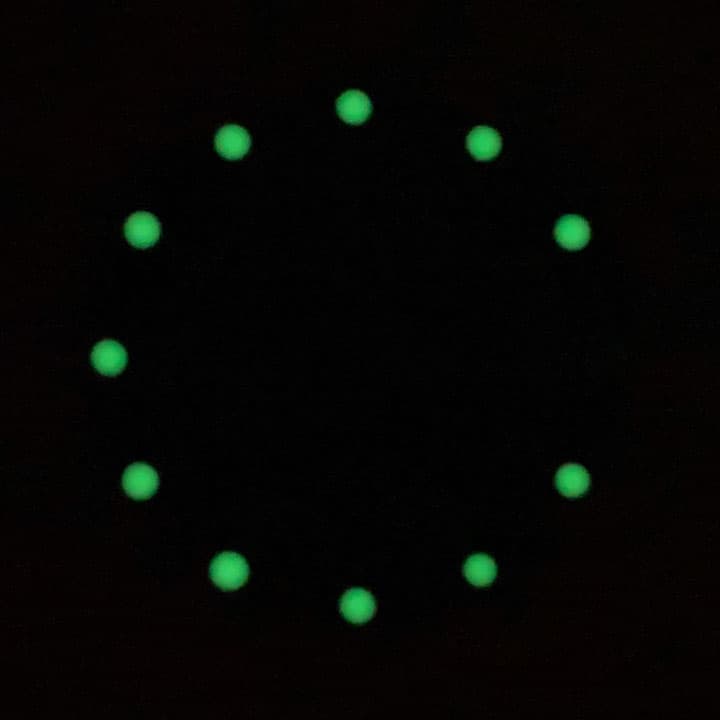 Dial 866 VOSTOK AMPHIBIA GRU - 2