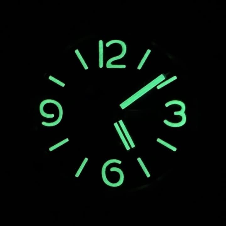 VOSTOK AMPHIBIA (030964 SE1) - 3