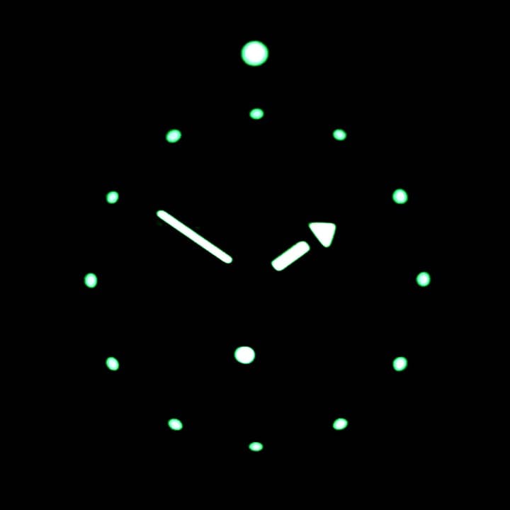 VOSTOK AMPHIBIA (150927 SE) - 3