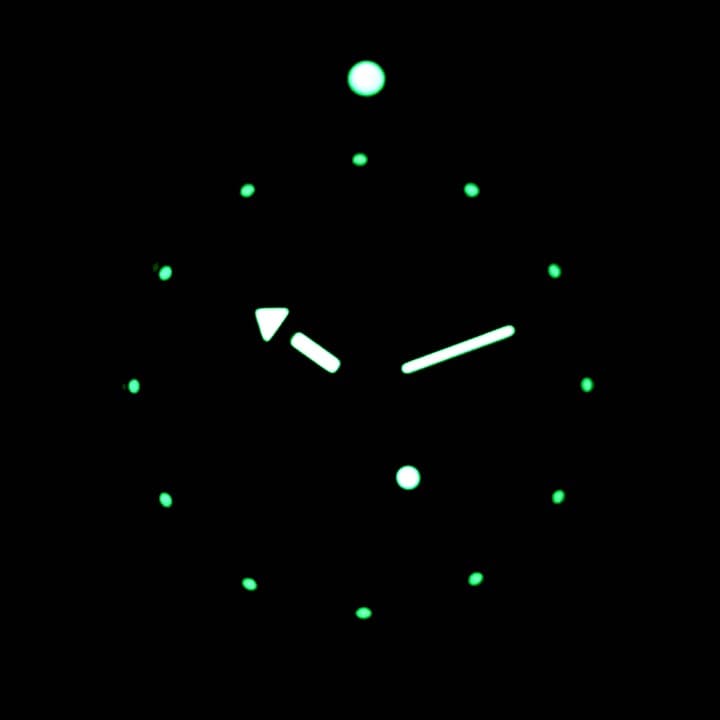 VOSTOK AMPHIBIA (120512 S2) - 3