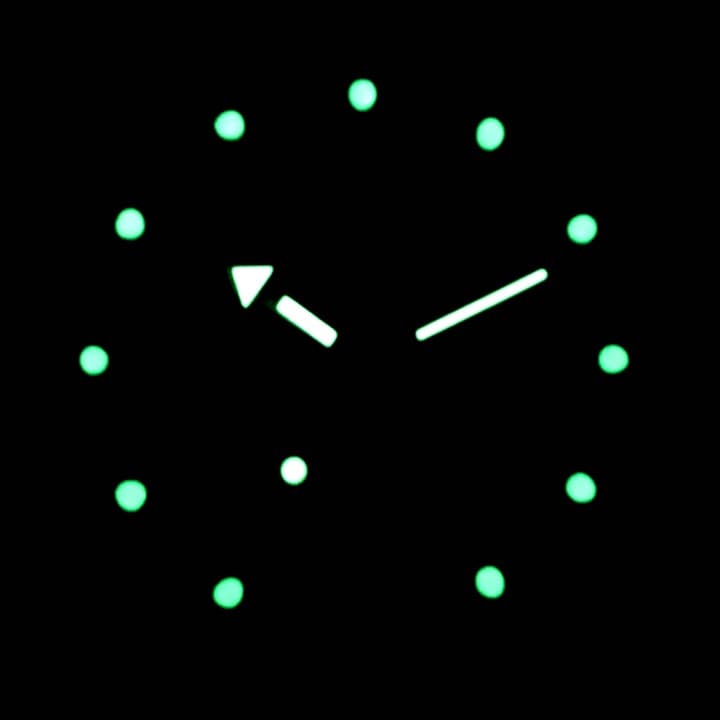 VOSTOK AMPHIBIA (710469) - 2