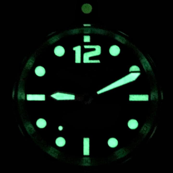 VOSTOK AMFIBIA REEF (080495) - 4