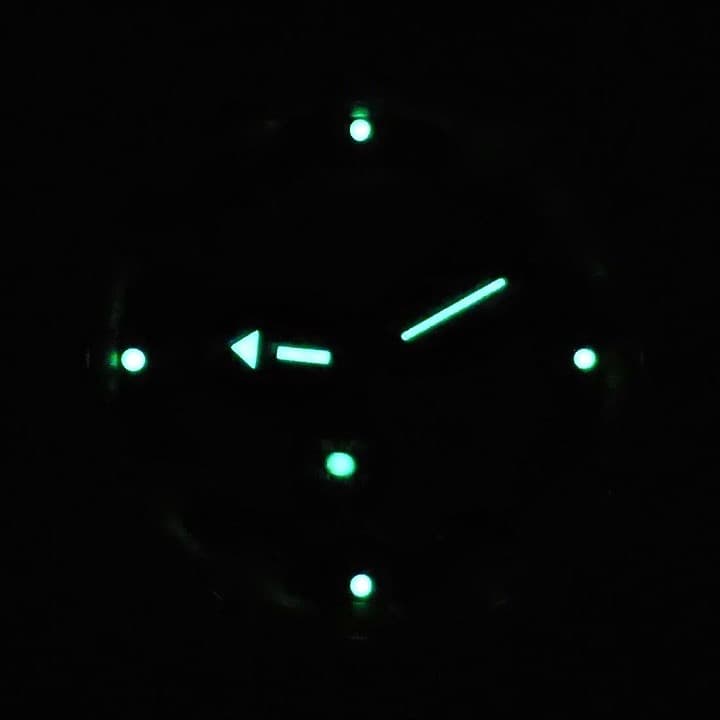 VOSTOK AMPHIBIA (090913) - 3