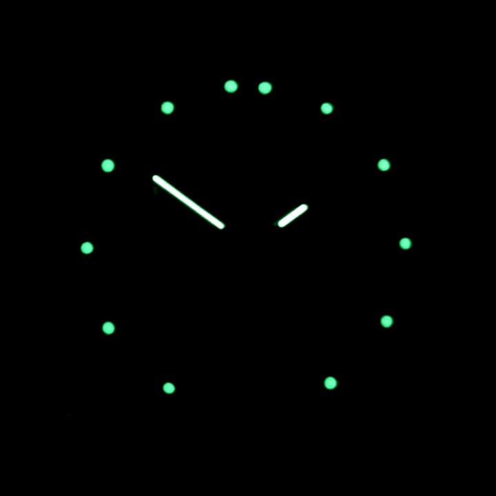 VOSTOK KOMANDIRSKIE BORDER TROOPS (431950) - 3