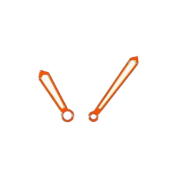 Orange Schwertzeiger VOSTOK AMPHIBIA KOMANDIRSKIE (PAAR31) - 1