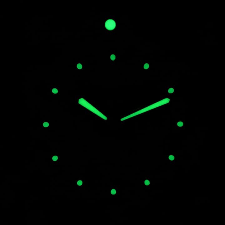 VOSTOK AMPHIBIA (420844.2 SE1) - 3