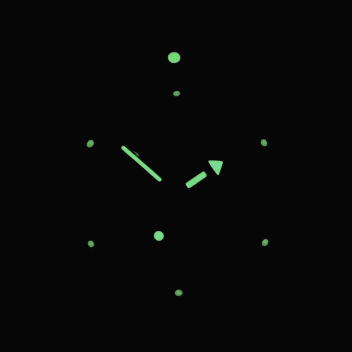 VOSTOK AMPHIBIA (420406 SE1) - 3