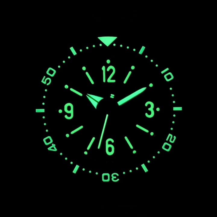 VOSTOK AMPHIBIA (170660S SE2) - 3