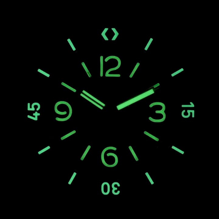 VOSTOK AMPHIBIA PAMPHIBIA (170548 S2) - 3