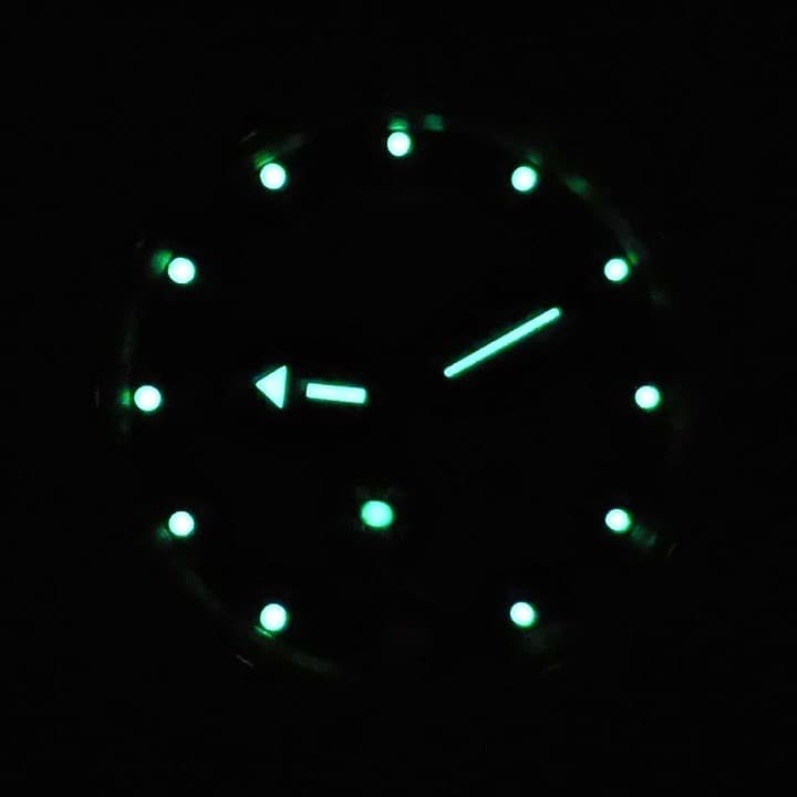 VOSTOK AMPHIBIA (710269 SE1) - 3