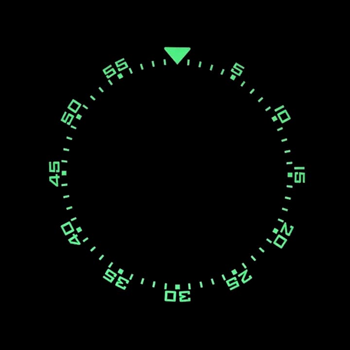 Bezel ceramic VOSTOK AMPHIBIA KOMANDIRSKIE with spring (LU-INS-25) - 3