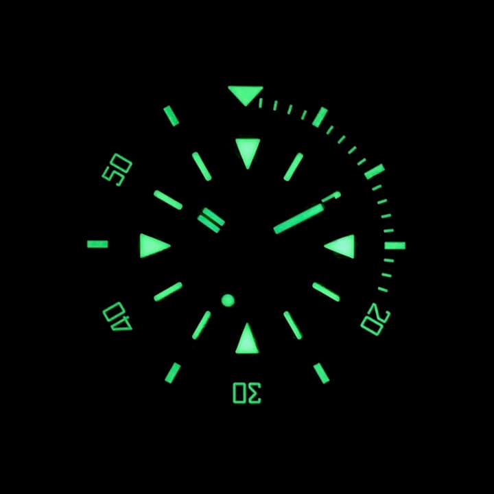 VOSTOK AMPHIBIA (170512.4 SE3) - 3