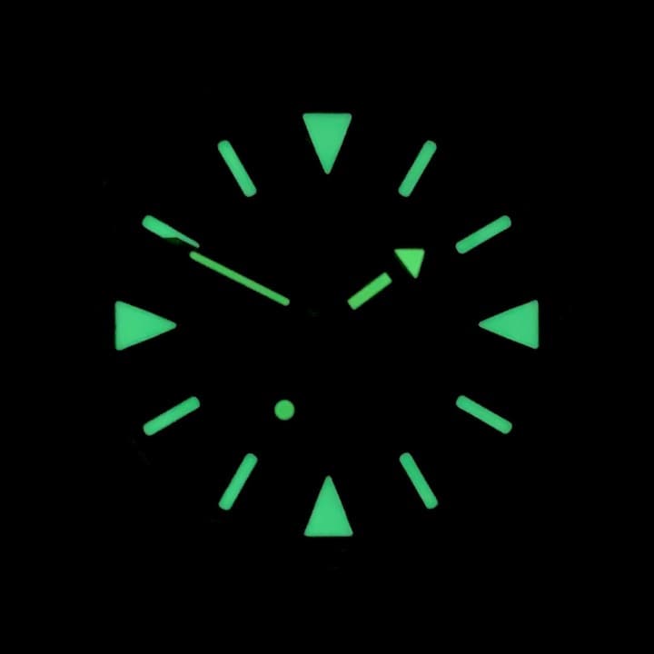 VOSTOK AMPHIBIA (120512.4 SE1) - 3