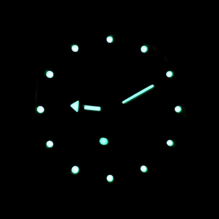 VOSTOK AMPHIBIA (090512) - 3