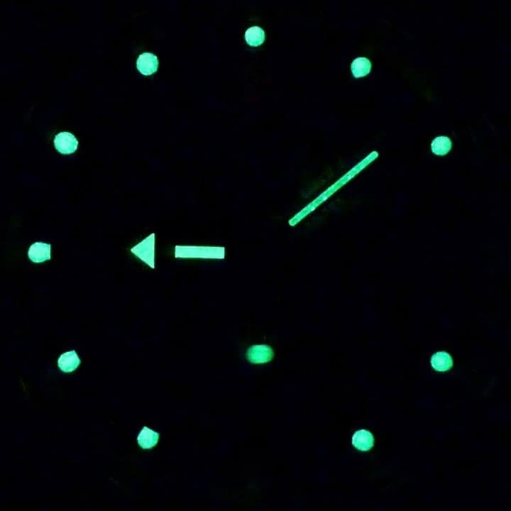 VOSTOK AMPHIBIA (060382) - 2